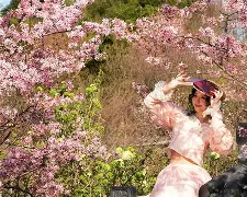 关于热刺前锋状态回暖，火力全开带队登顶的信息