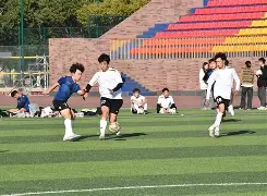 爱尔兰队奋勇争先，冲顶晋级榜首目标的简单介绍